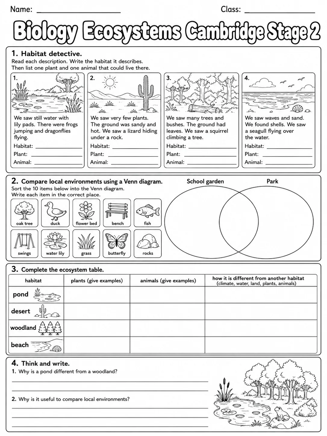 Biology Ecosystems Cambridge Stage 2 page 10 printable Cambridge science worksheet preview