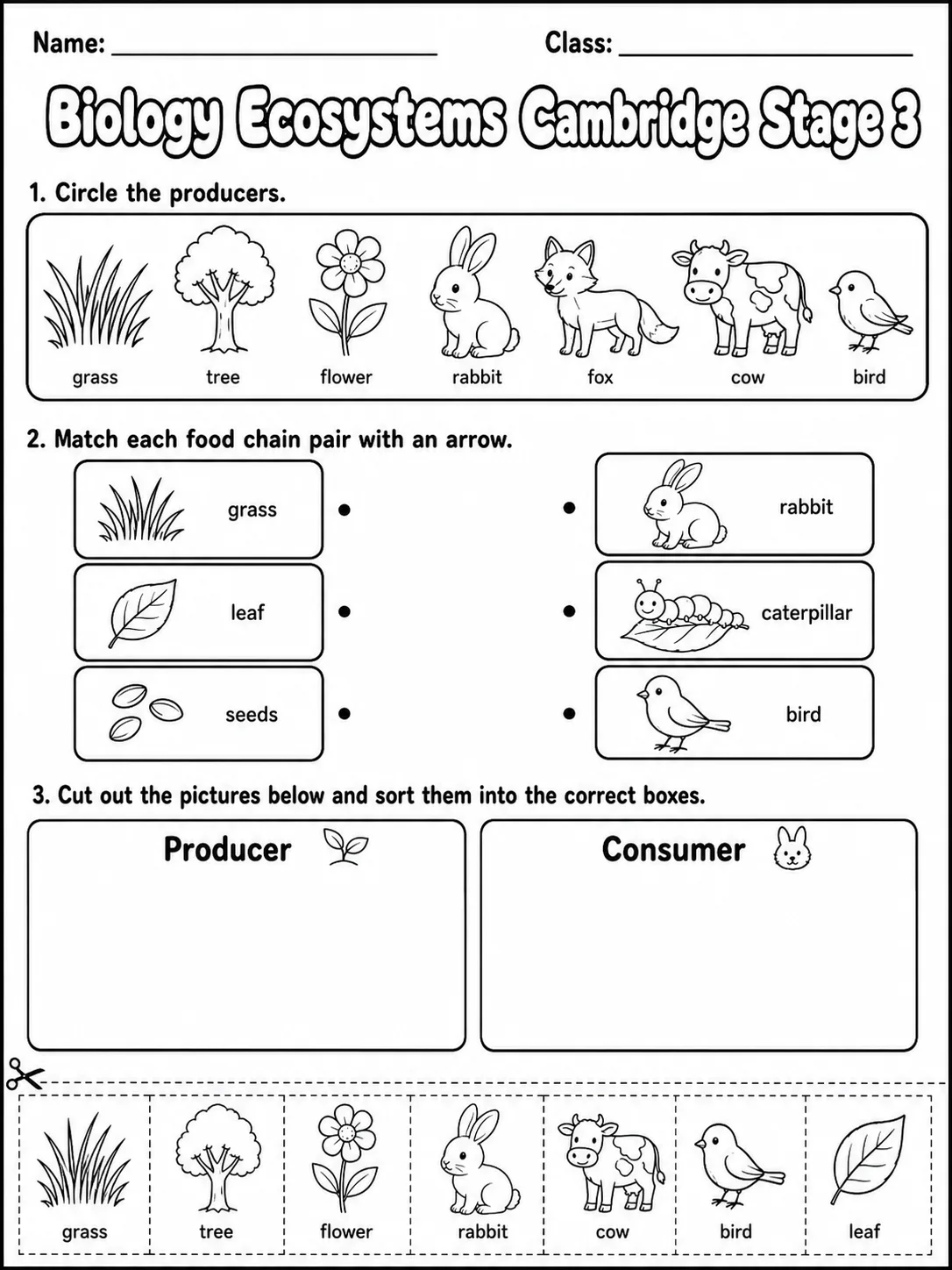 Biology Ecosystems Cambridge Stage 3 printable Cambridge Primary Science Stage 3 worksheet preview from KiwiBee