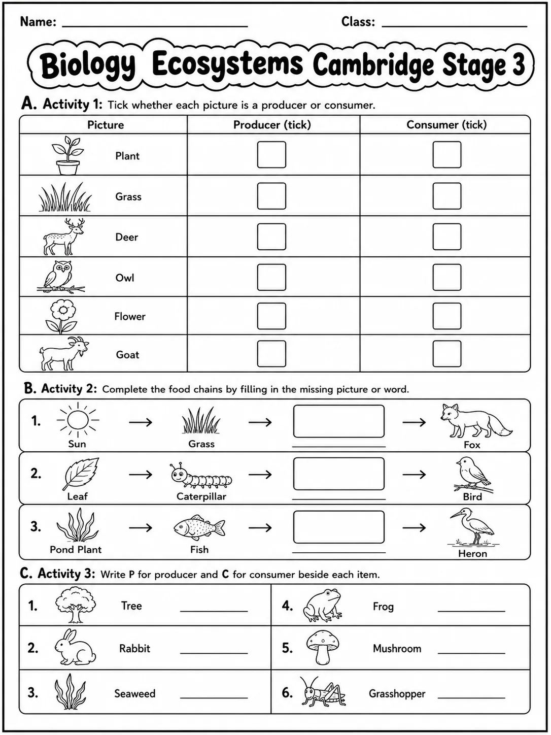 Biology Ecosystems Cambridge Stage 3 page 2 printable Cambridge science worksheet preview
