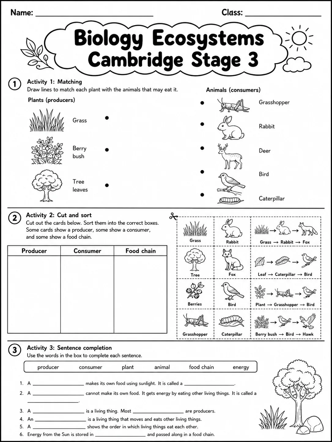 Biology Ecosystems Cambridge Stage 3 page 3 printable Cambridge science worksheet preview