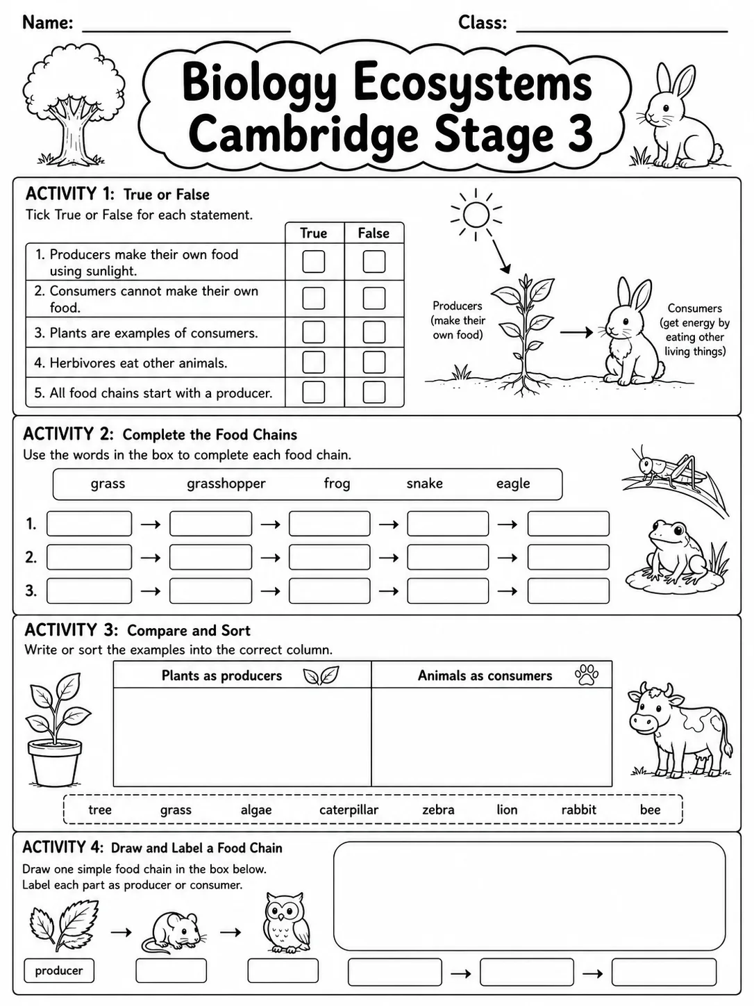 Biology Ecosystems Cambridge Stage 3 page 5 printable Cambridge science worksheet preview