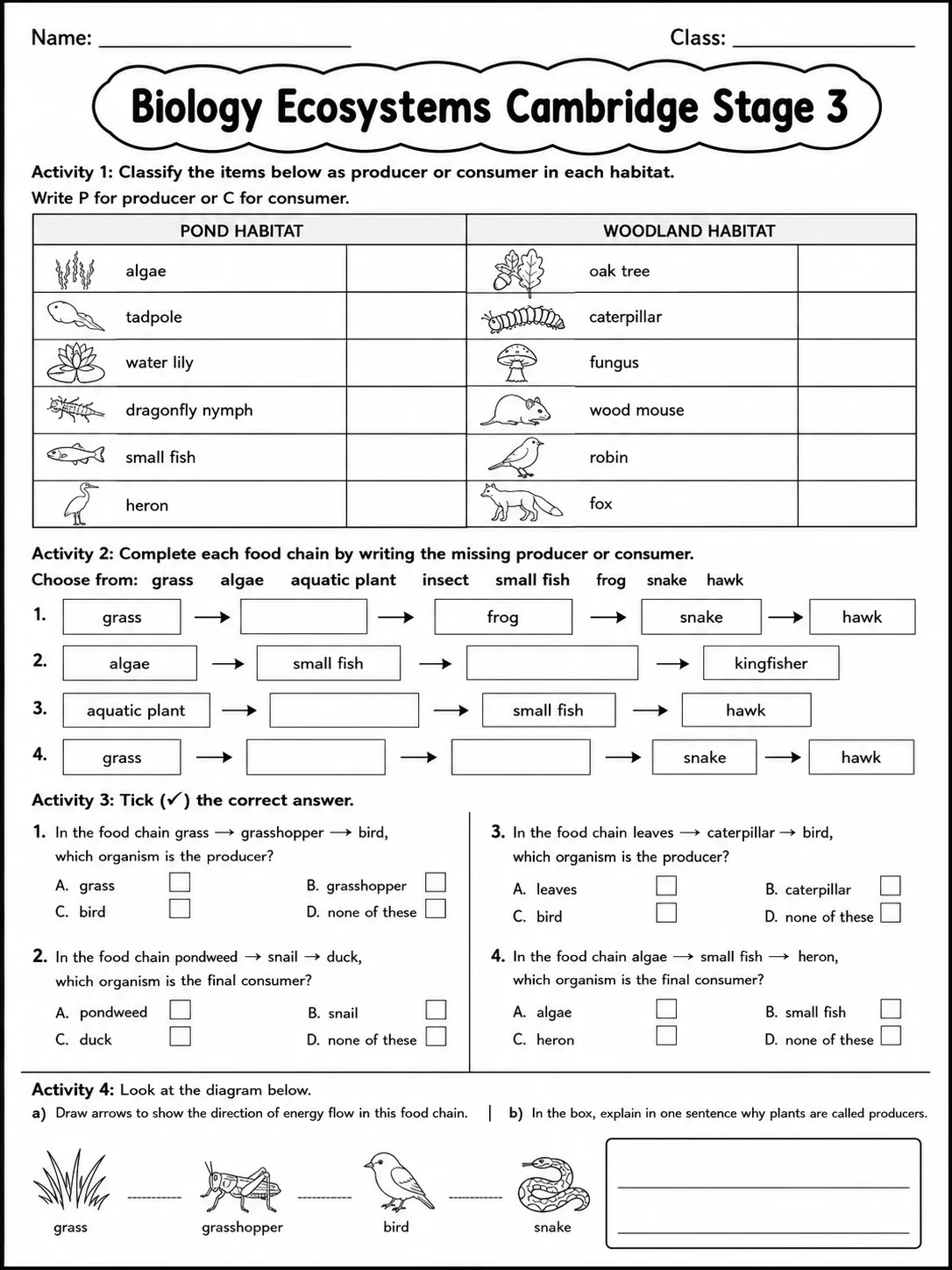 Biology Ecosystems Cambridge Stage 3 page 7 printable Cambridge science worksheet preview