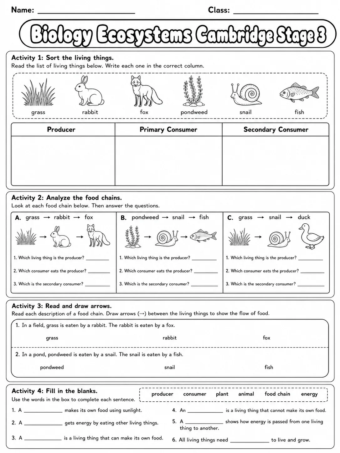 Biology Ecosystems Cambridge Stage 3 page 8 printable Cambridge science worksheet preview