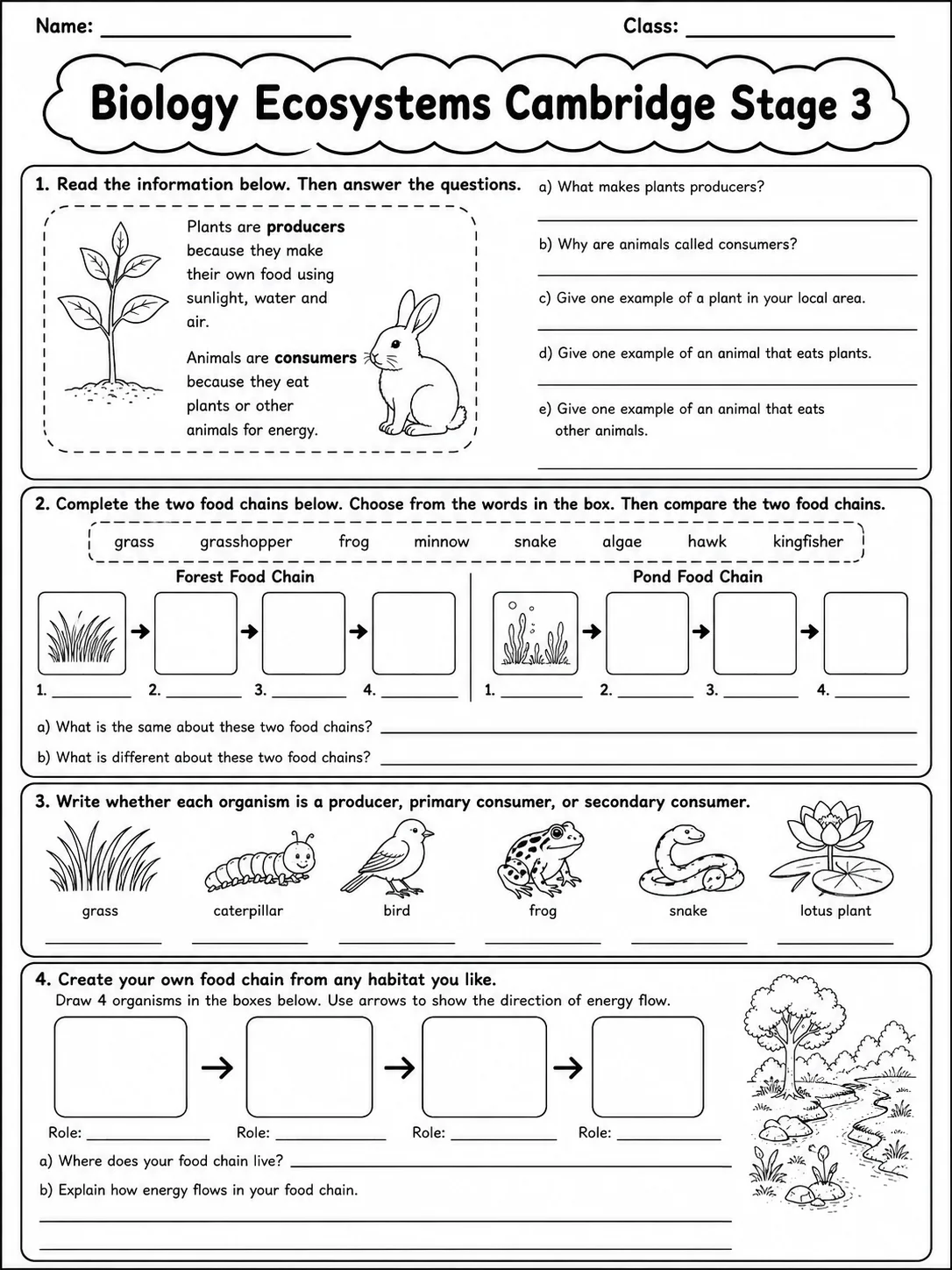 Biology Ecosystems Cambridge Stage 3 page 9 printable Cambridge science worksheet preview