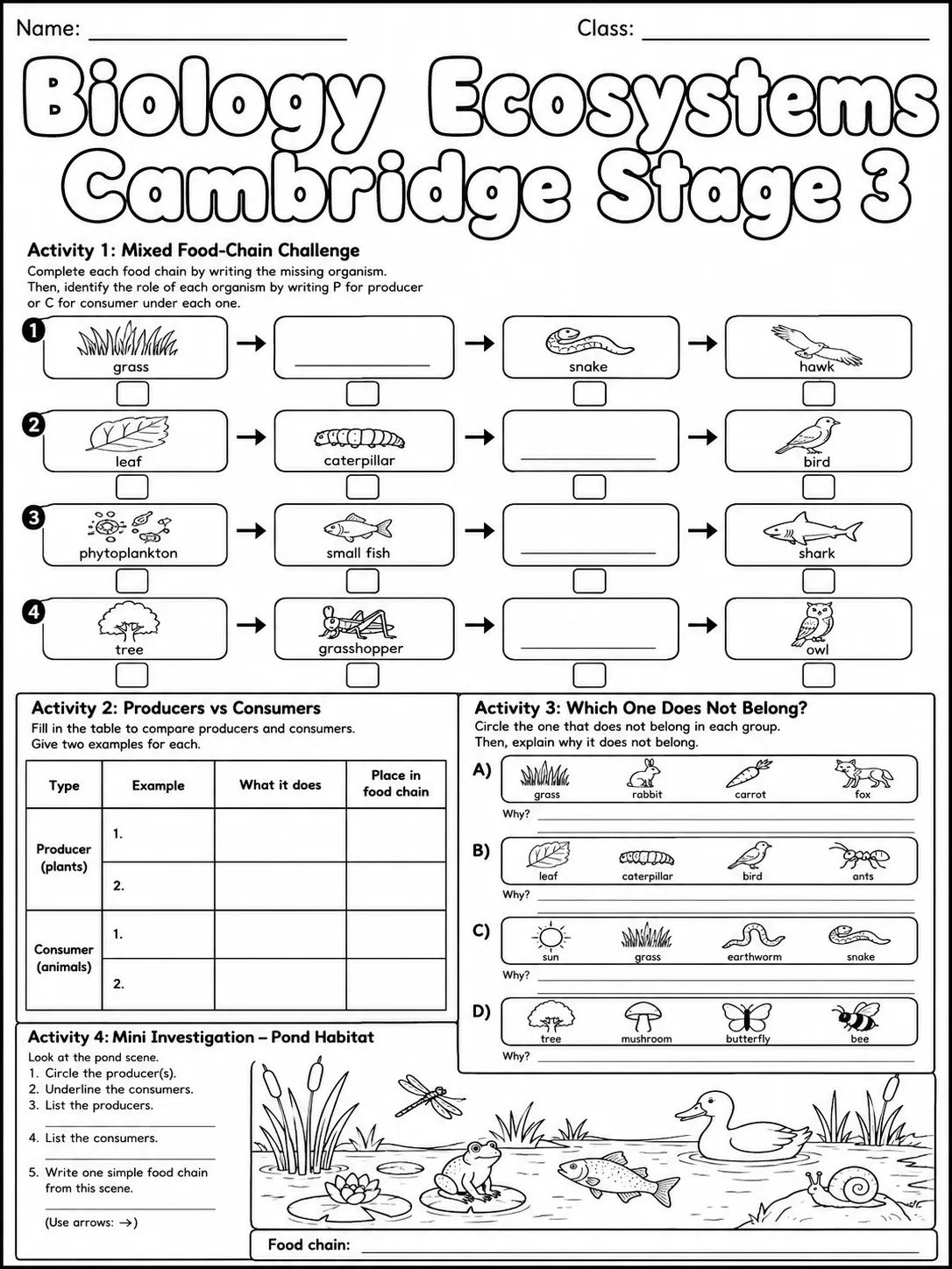 Biology Ecosystems Cambridge Stage 3 page 10 printable Cambridge science worksheet preview