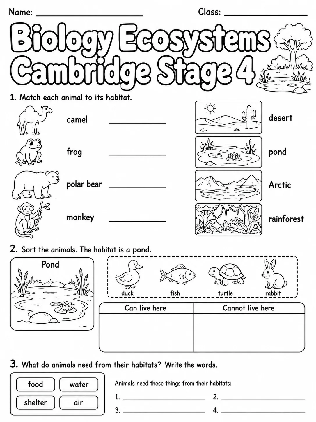 Biology Ecosystems Cambridge Stage 4 printable Cambridge Primary Science Stage 4 worksheet preview from KiwiBee