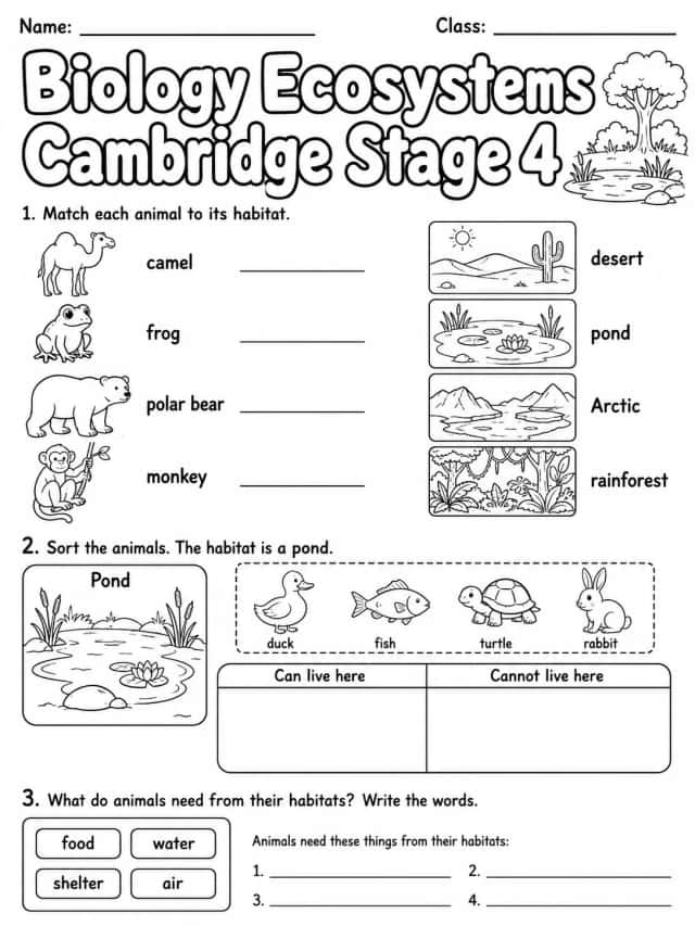 Biology Ecosystems Cambridge Stage 4
