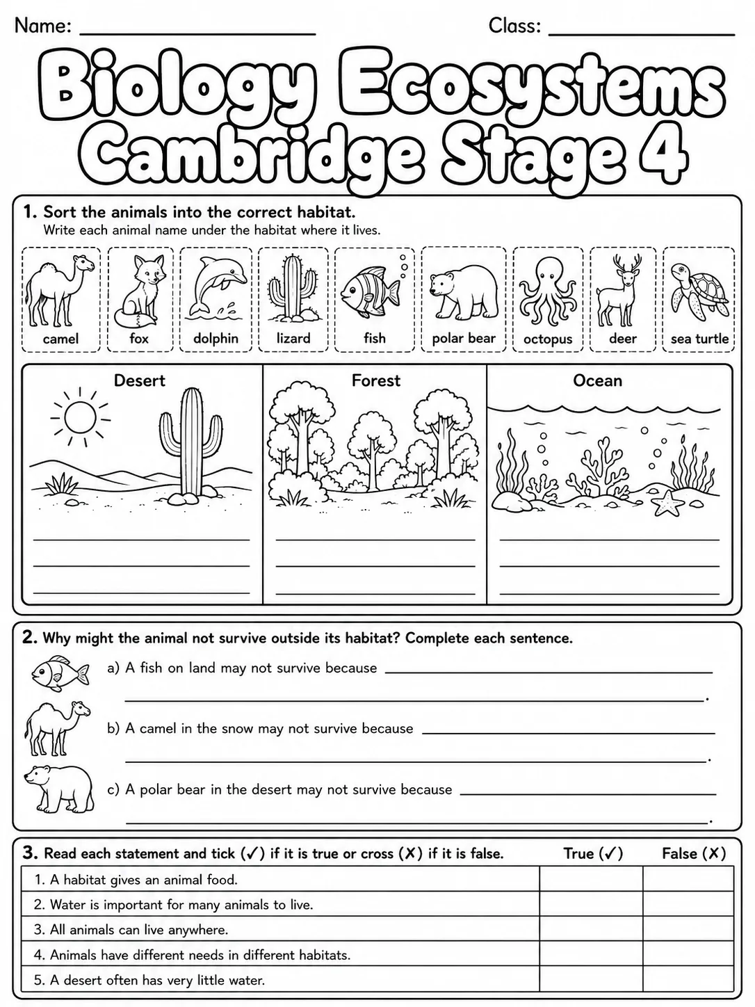 Biology Ecosystems Cambridge Stage 4 page 2 printable Cambridge science worksheet preview