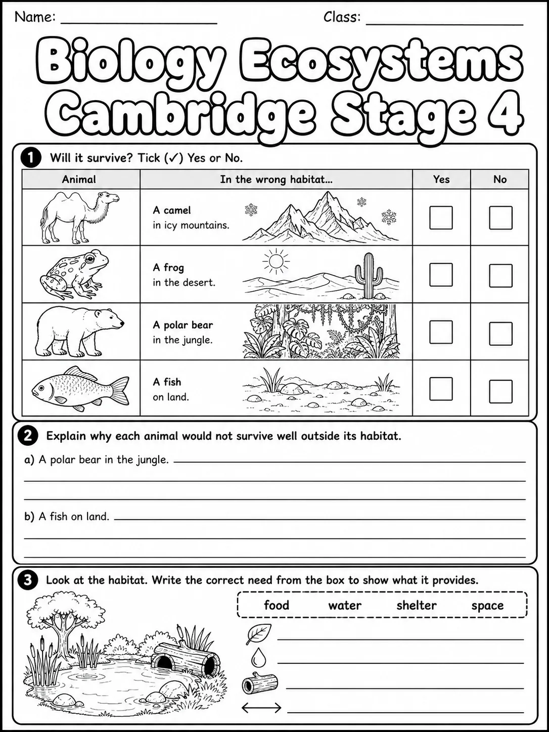 Biology Ecosystems Cambridge Stage 4 page 3 printable Cambridge science worksheet preview