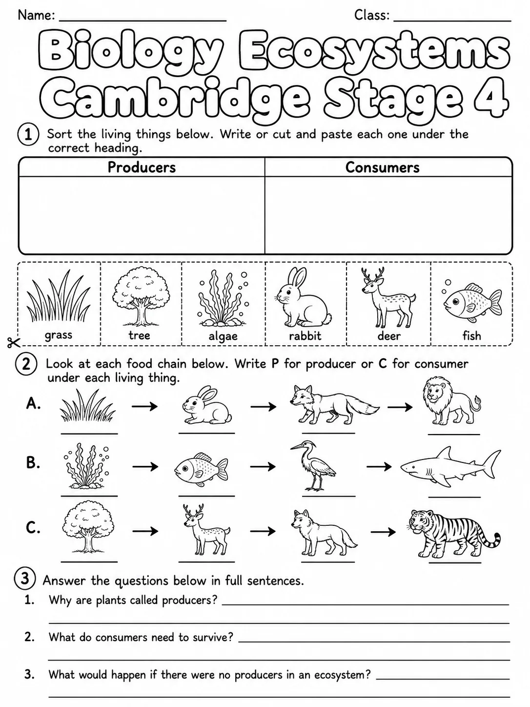 Biology Ecosystems Cambridge Stage 4 page 5 printable Cambridge science worksheet preview