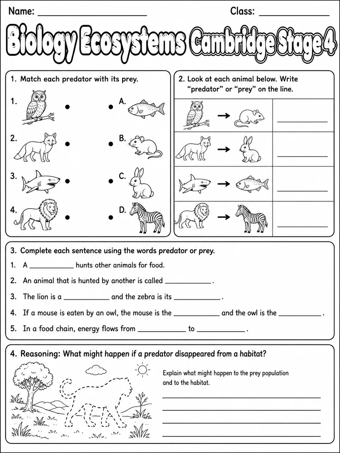 Biology Ecosystems Cambridge Stage 4 page 7 printable Cambridge science worksheet preview