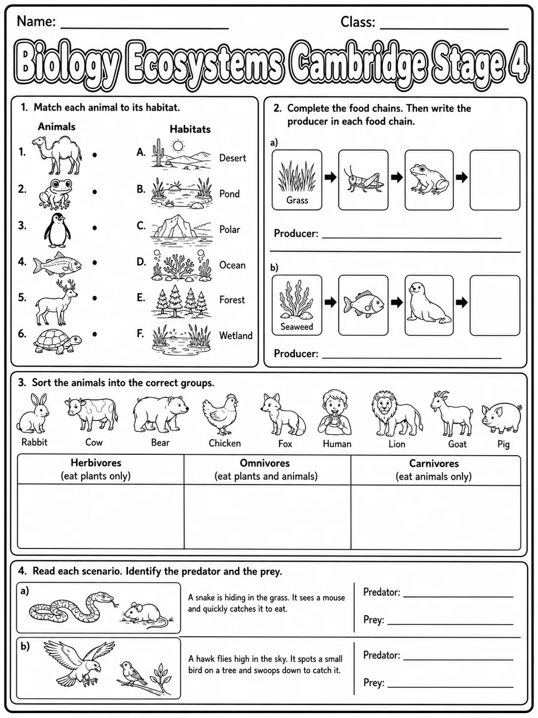 Biology Ecosystems Cambridge Stage 4 page 8 printable Cambridge science worksheet preview
