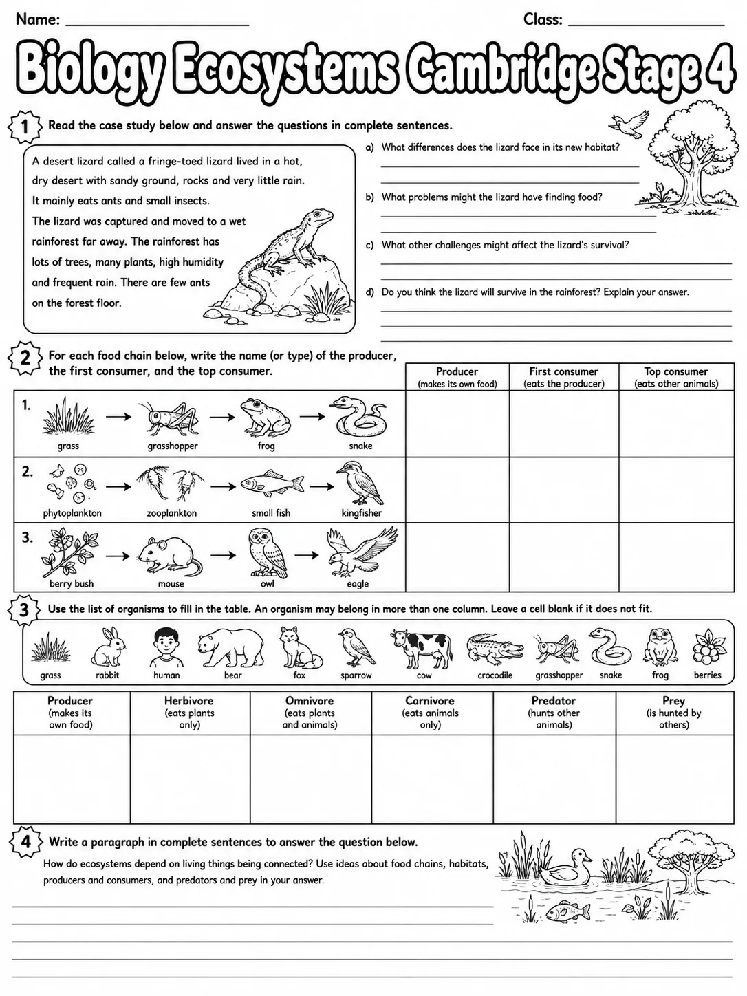 Biology Ecosystems Cambridge Stage 4 page 10 printable Cambridge science worksheet preview