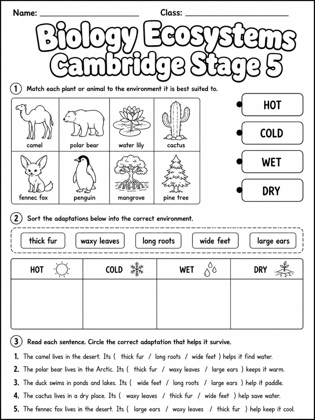 Biology Ecosystems Cambridge Stage 5 printable Cambridge Primary Science Stage 5 worksheet preview from KiwiBee