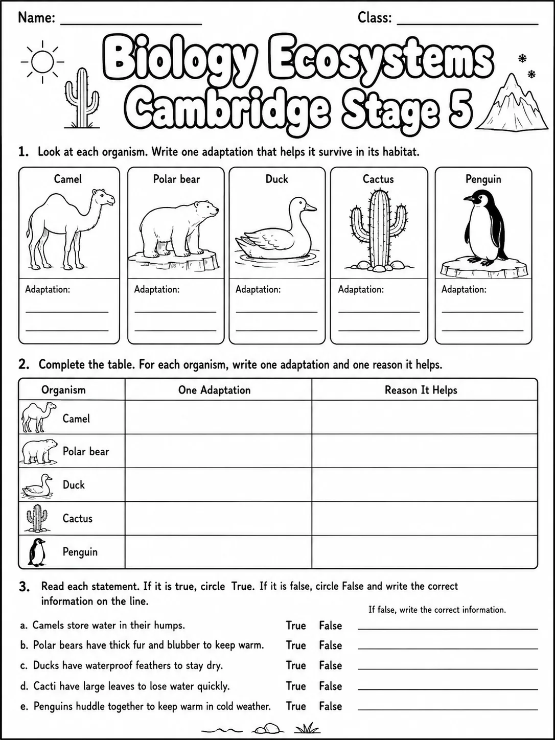 Biology Ecosystems Cambridge Stage 5 page 2 printable Cambridge science worksheet preview