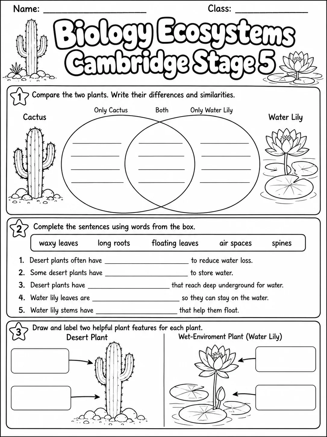 Biology Ecosystems Cambridge Stage 5 page 3 printable Cambridge science worksheet preview