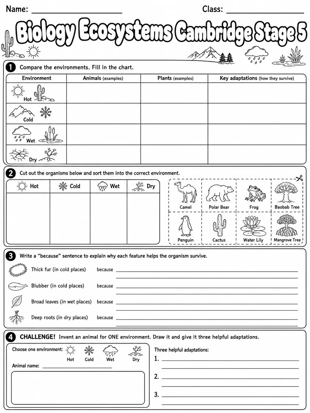 Biology Ecosystems Cambridge Stage 5 page 5 printable Cambridge science worksheet preview