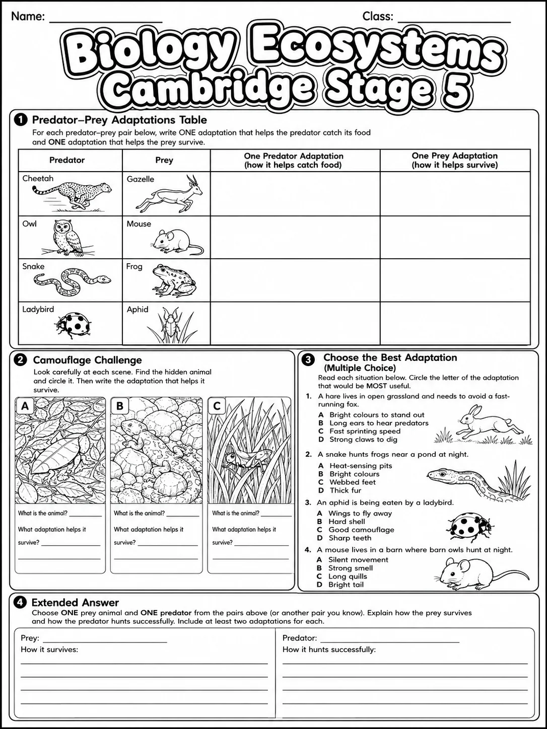 Biology Ecosystems Cambridge Stage 5 page 7 printable Cambridge science worksheet preview