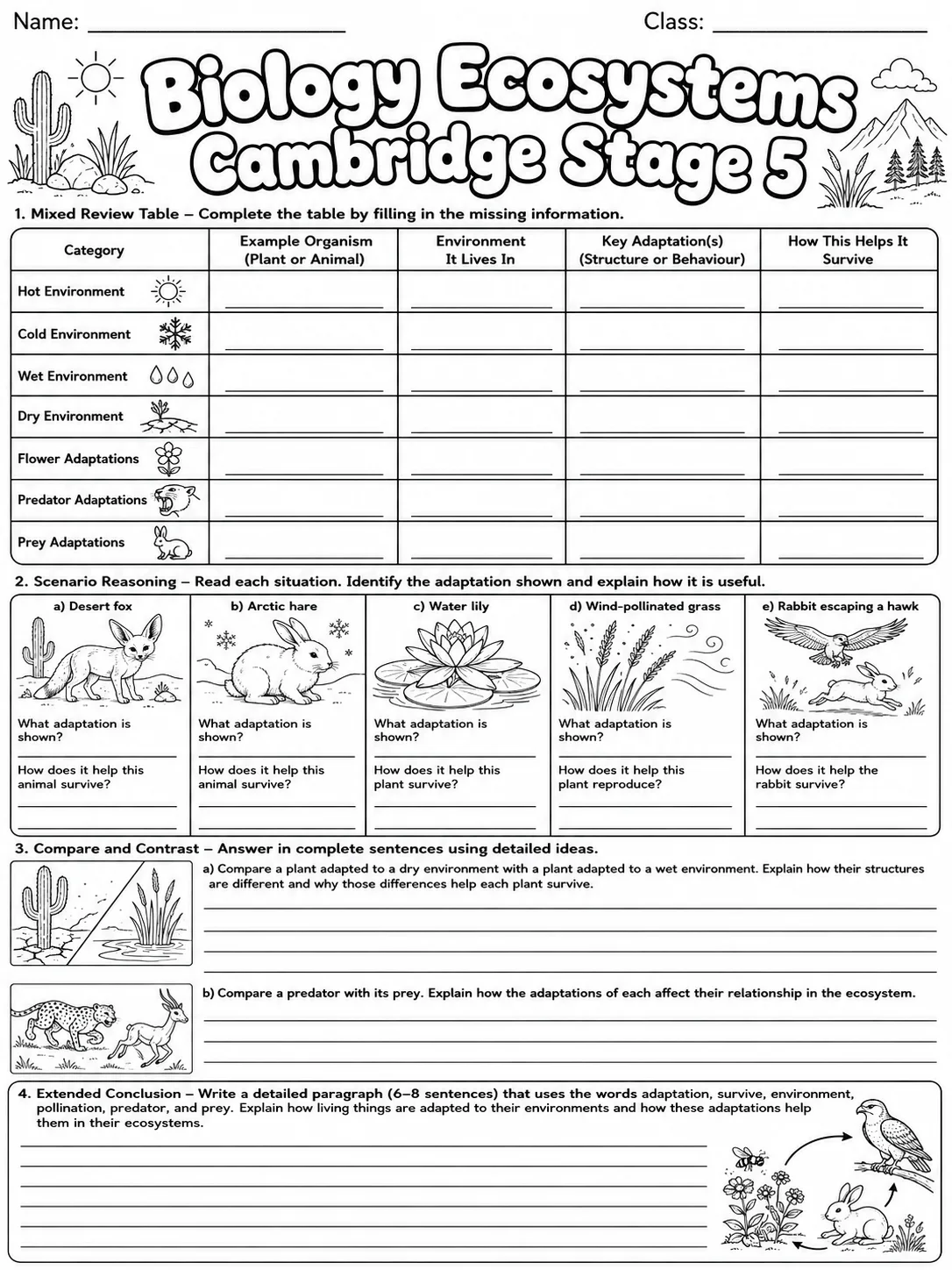 Biology Ecosystems Cambridge Stage 5 page 9 printable Cambridge science worksheet preview
