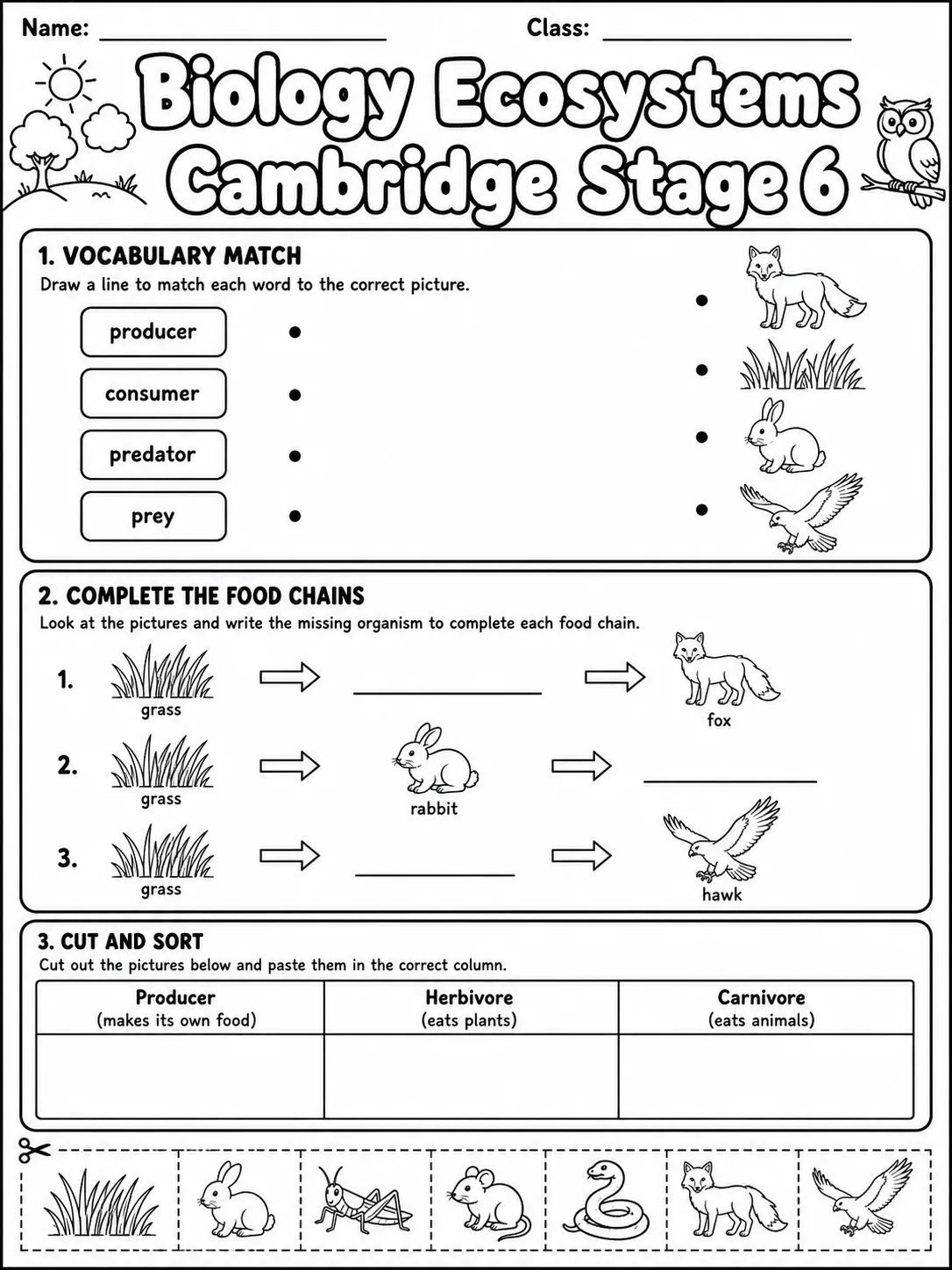 Biology Ecosystems Cambridge Stage 6 printable Cambridge Primary Science Stage 6 worksheet preview from KiwiBee
