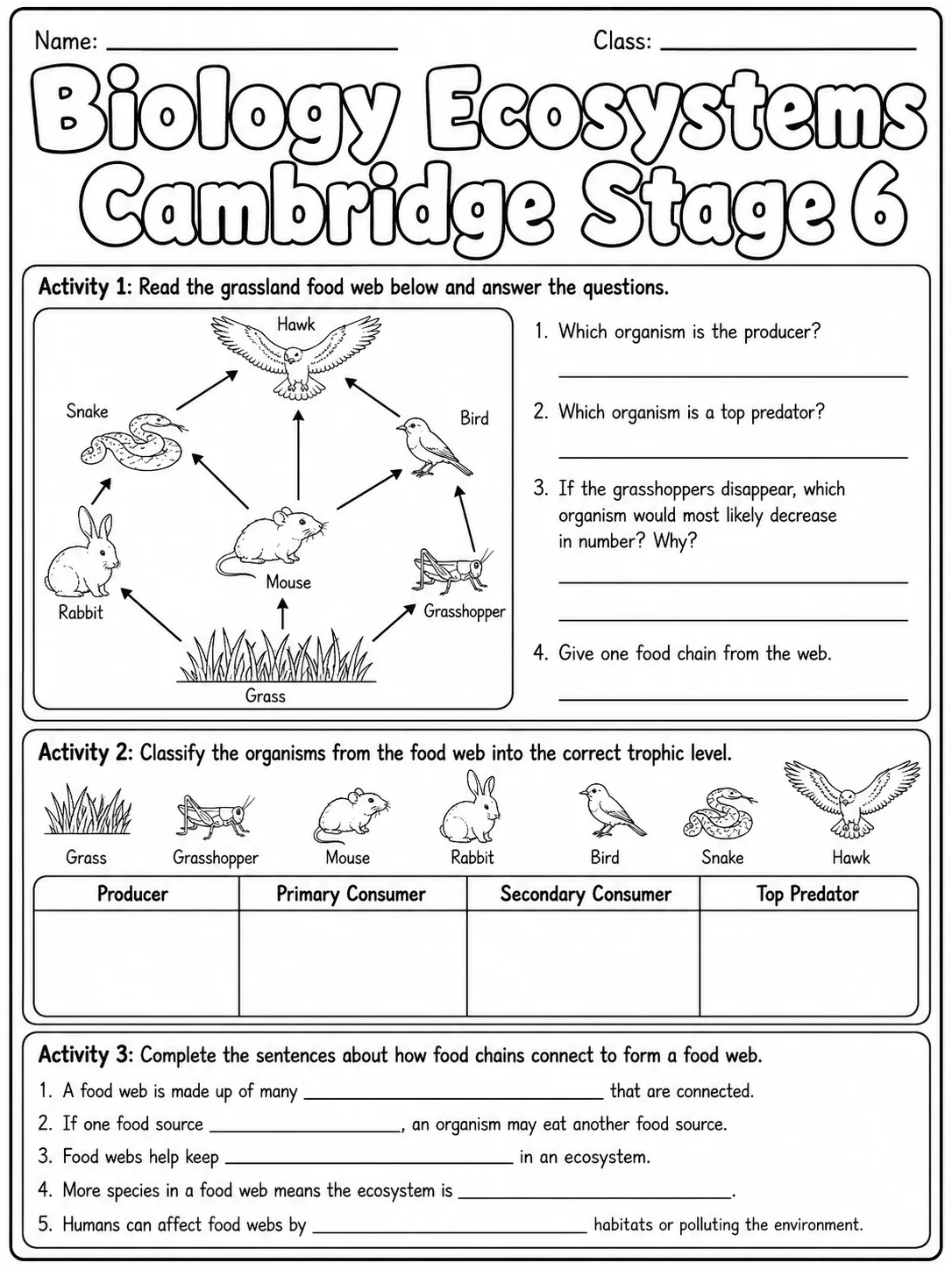 Biology Ecosystems Cambridge Stage 6 page 3 printable Cambridge science worksheet preview