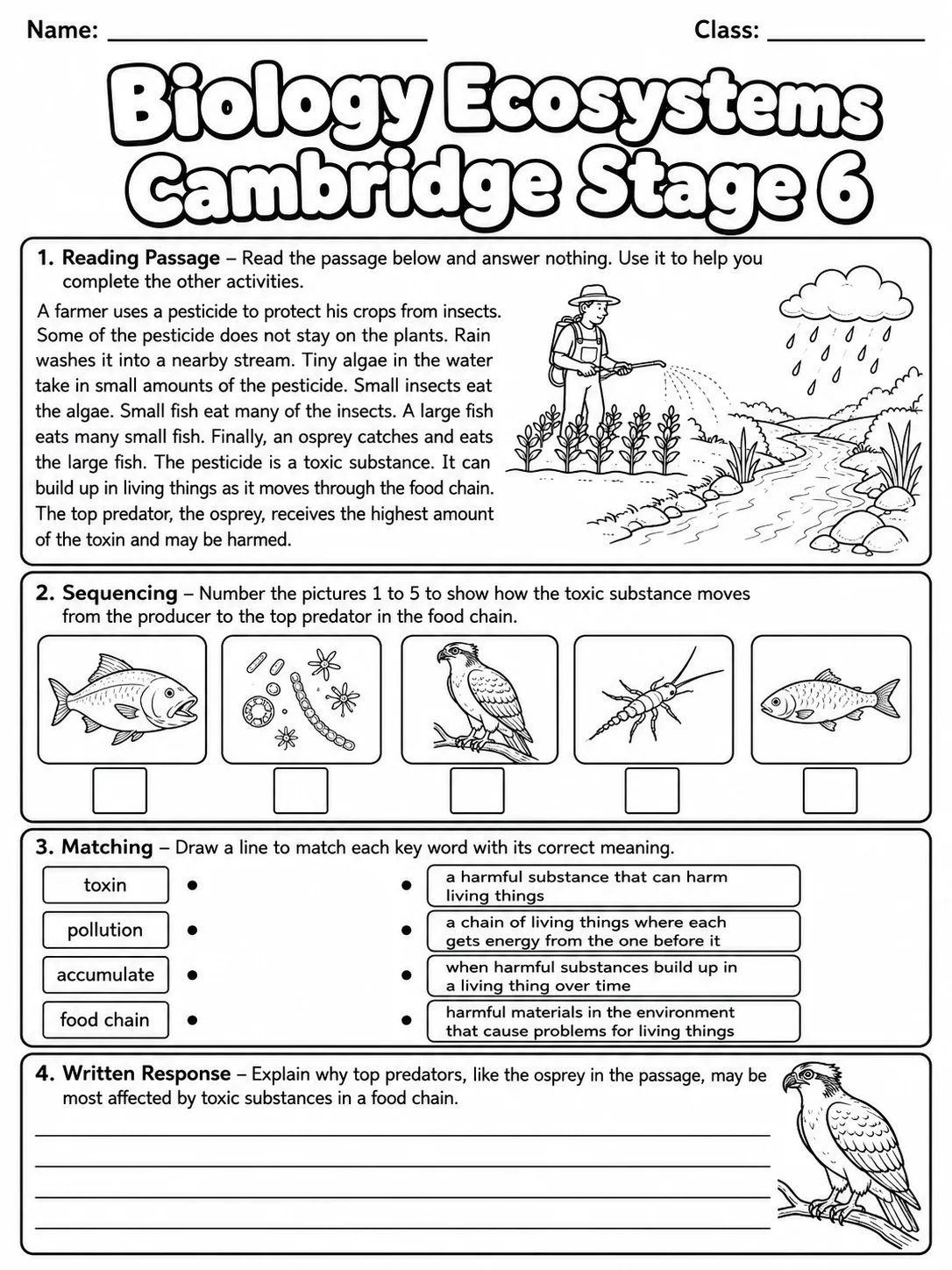 Biology Ecosystems Cambridge Stage 6 page 5 printable Cambridge science worksheet preview
