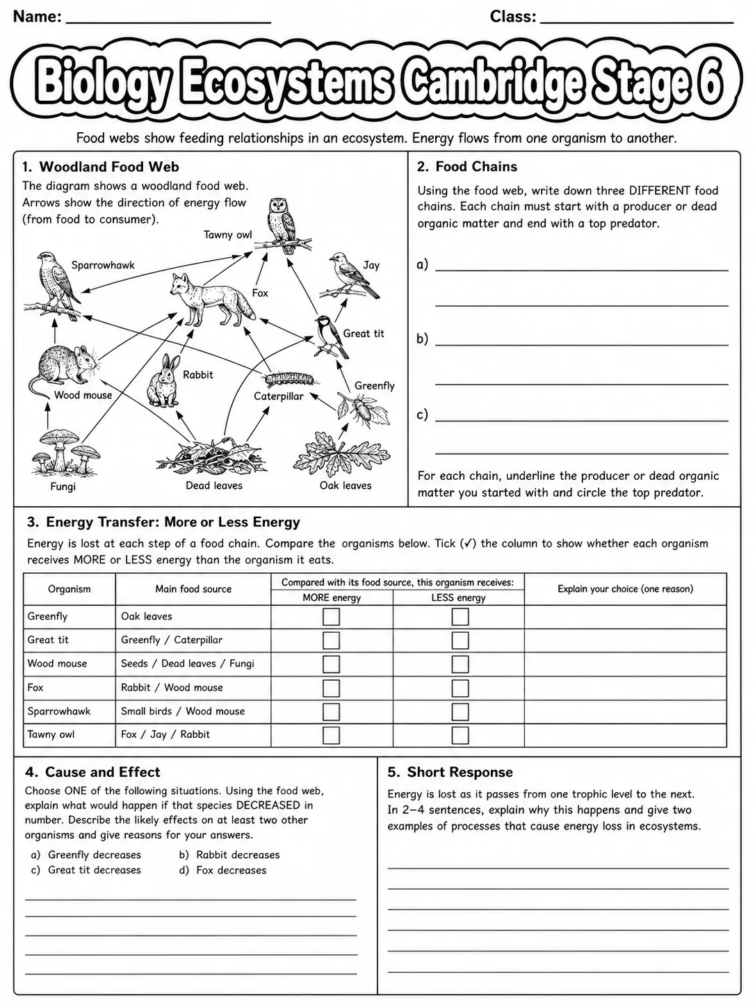 Biology Ecosystems Cambridge Stage 6 page 6 printable Cambridge science worksheet preview