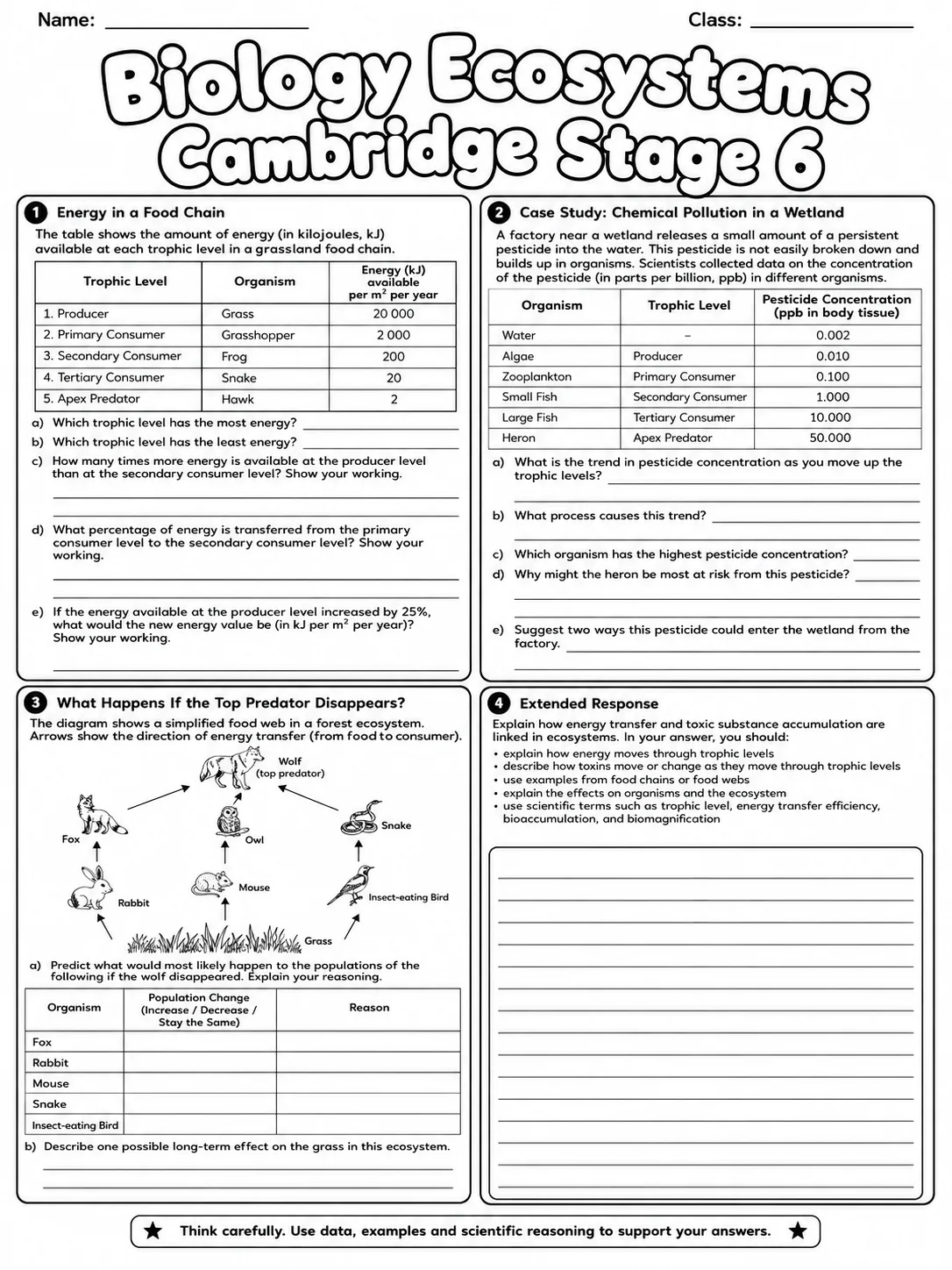 Biology Ecosystems Cambridge Stage 6 page 8 printable Cambridge science worksheet preview