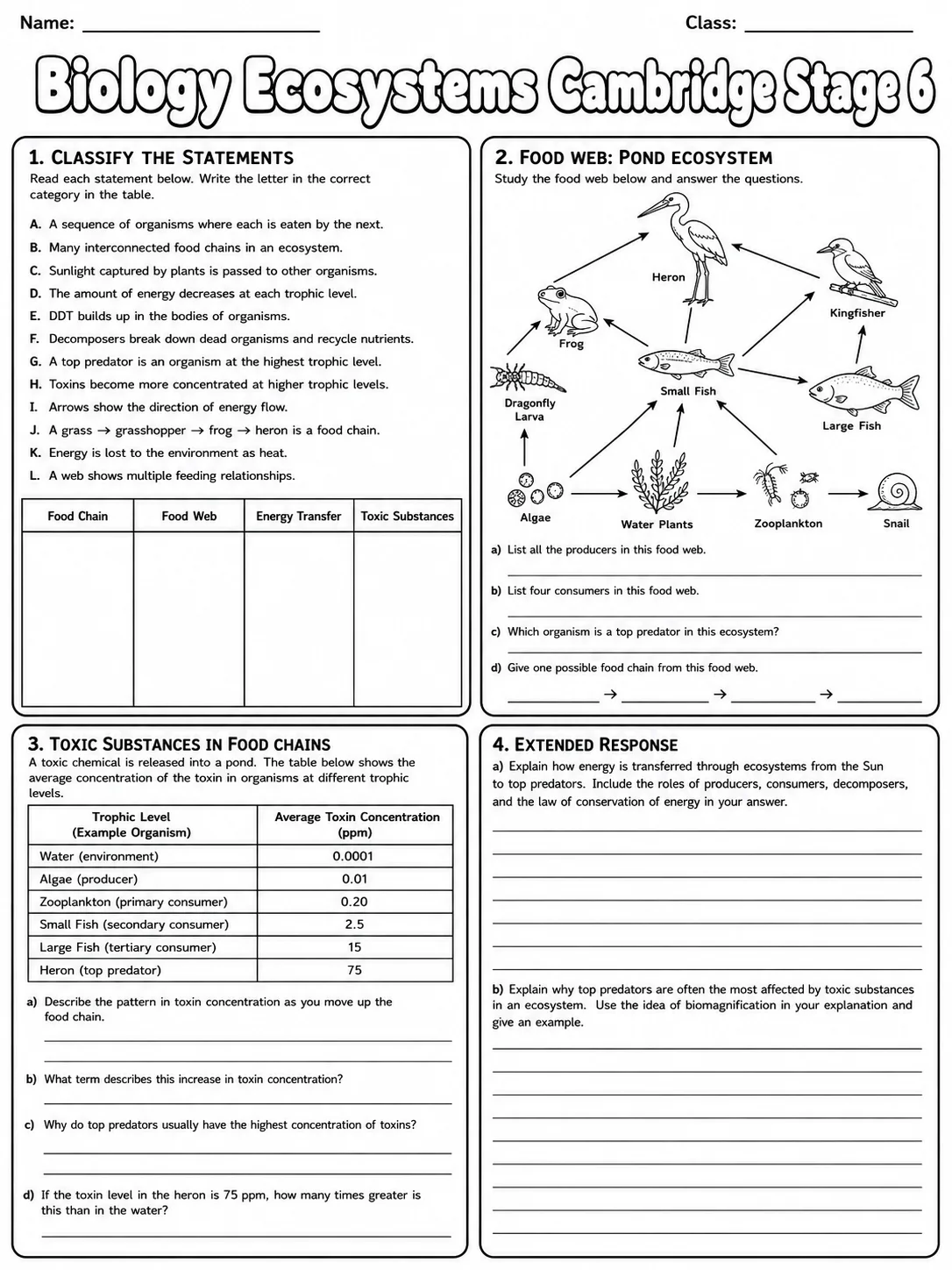 Biology Ecosystems Cambridge Stage 6 page 10 printable Cambridge science worksheet preview