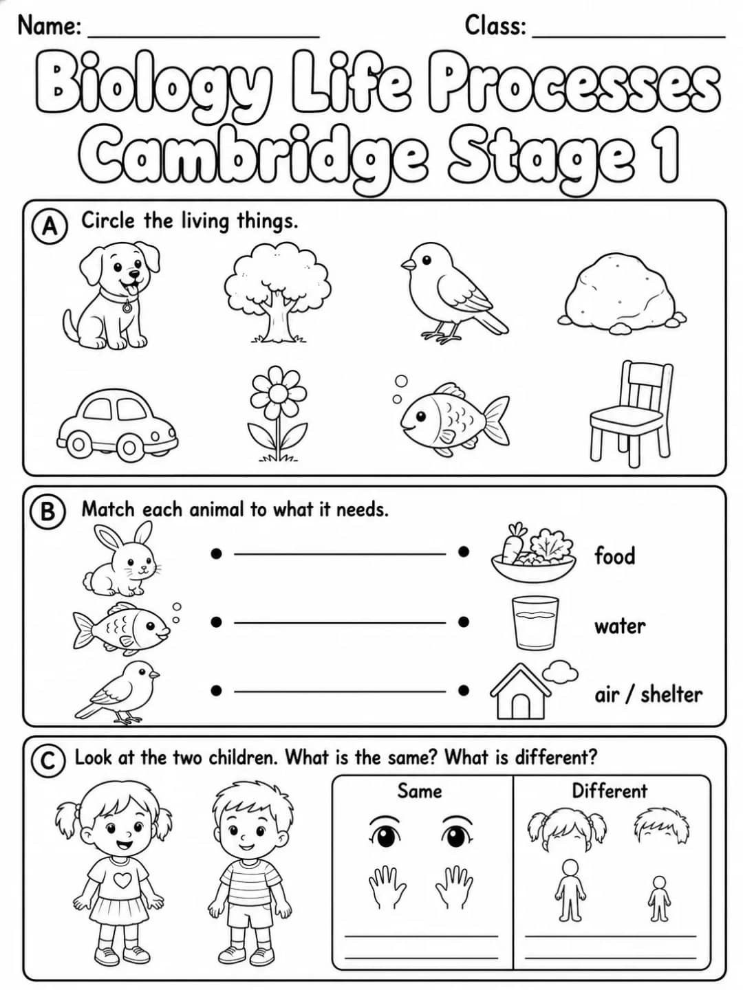 Biology Life Processes Cambridge Stage 1 printable Cambridge Primary Science Stage 1 worksheet preview from KiwiBee