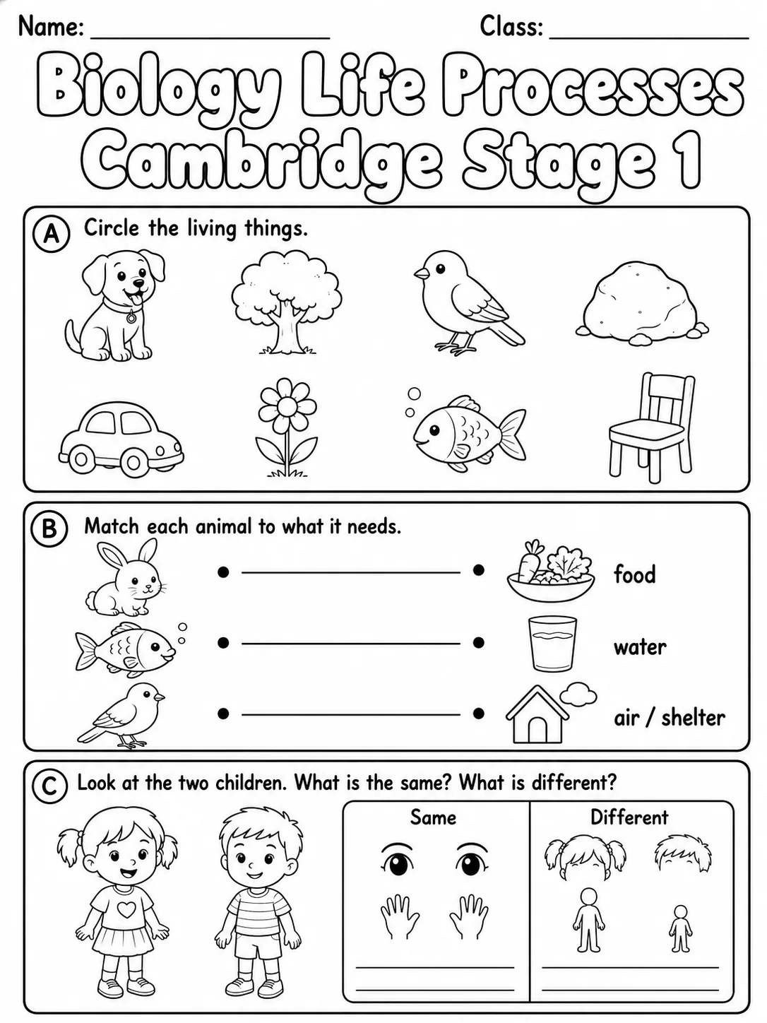 Biology Life Processes Cambridge Stage 1 printable Cambridge Primary Science Stage 1 worksheet preview from KiwiBee