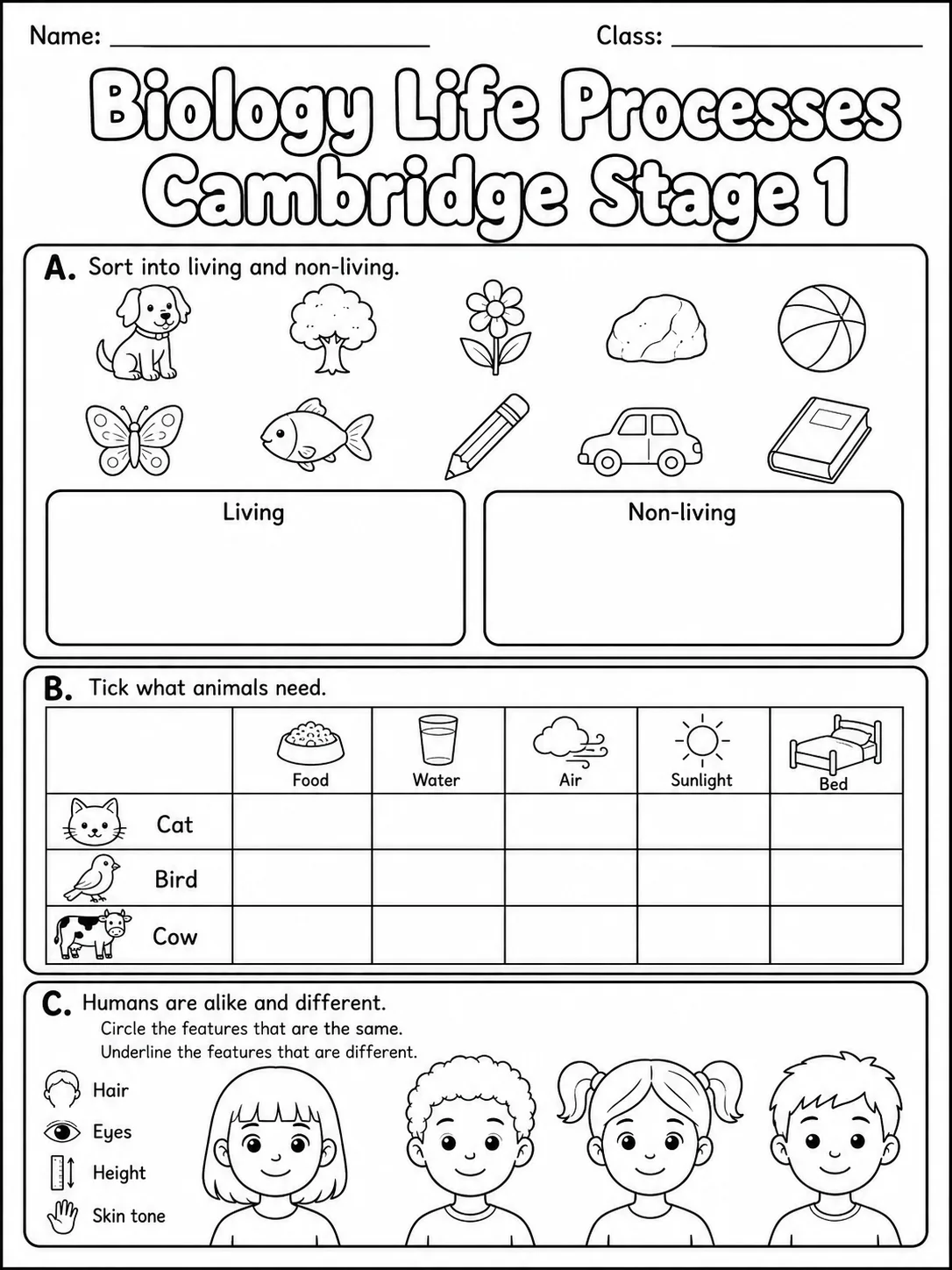 Biology Life Processes Cambridge Stage 1 page 2 printable Cambridge science worksheet preview