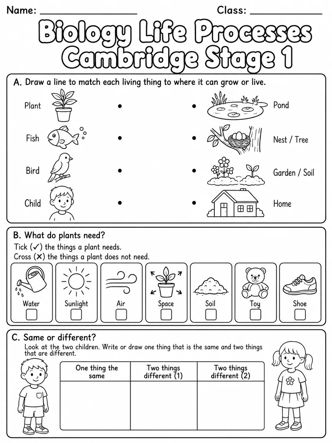 Biology Life Processes Cambridge Stage 1 page 3 printable Cambridge science worksheet preview