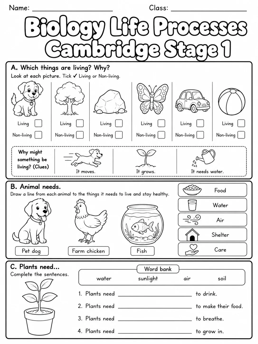 Biology Life Processes Cambridge Stage 1 page 4 printable Cambridge science worksheet preview