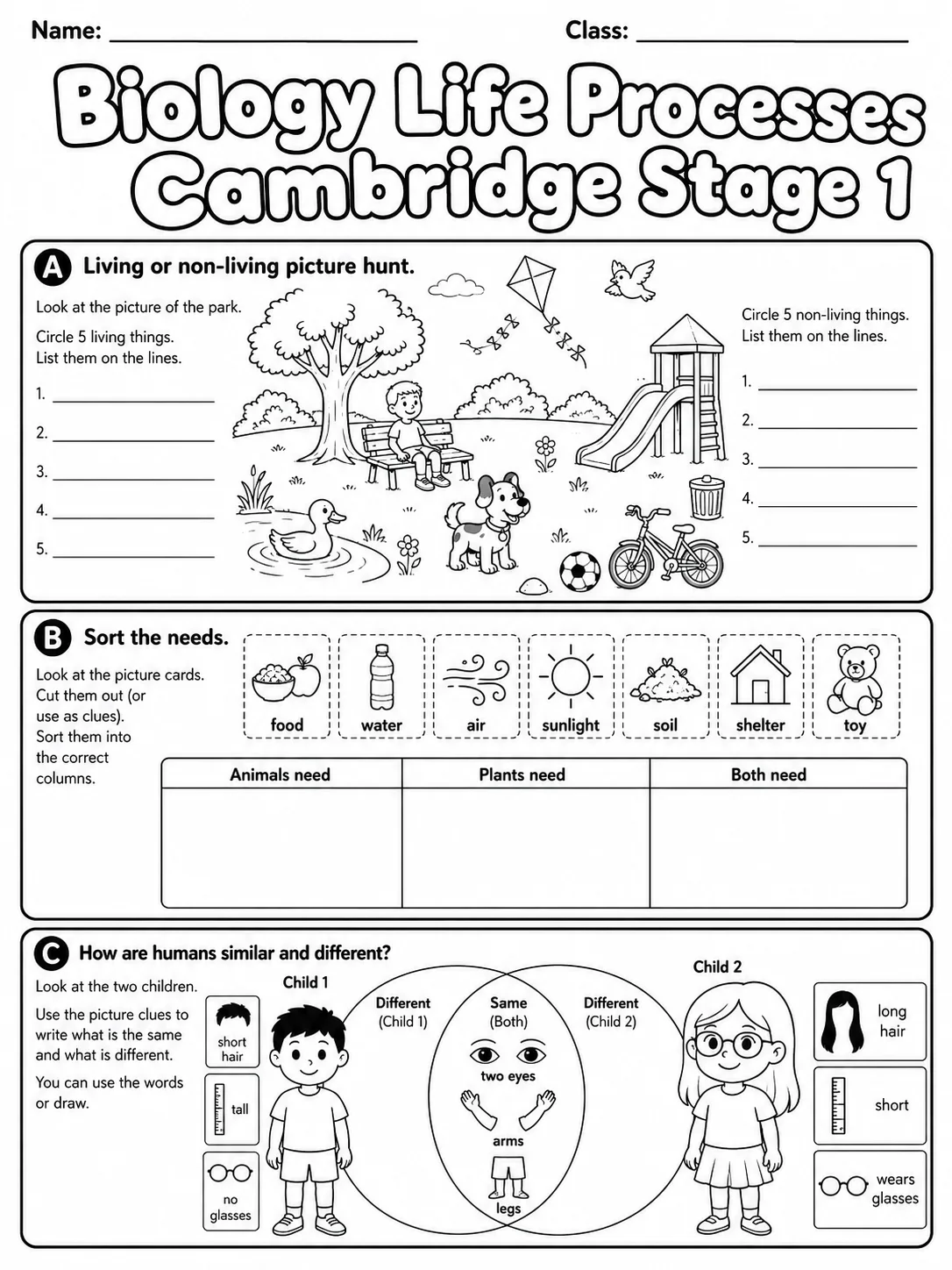 Biology Life Processes Cambridge Stage 1 page 5 printable Cambridge science worksheet preview