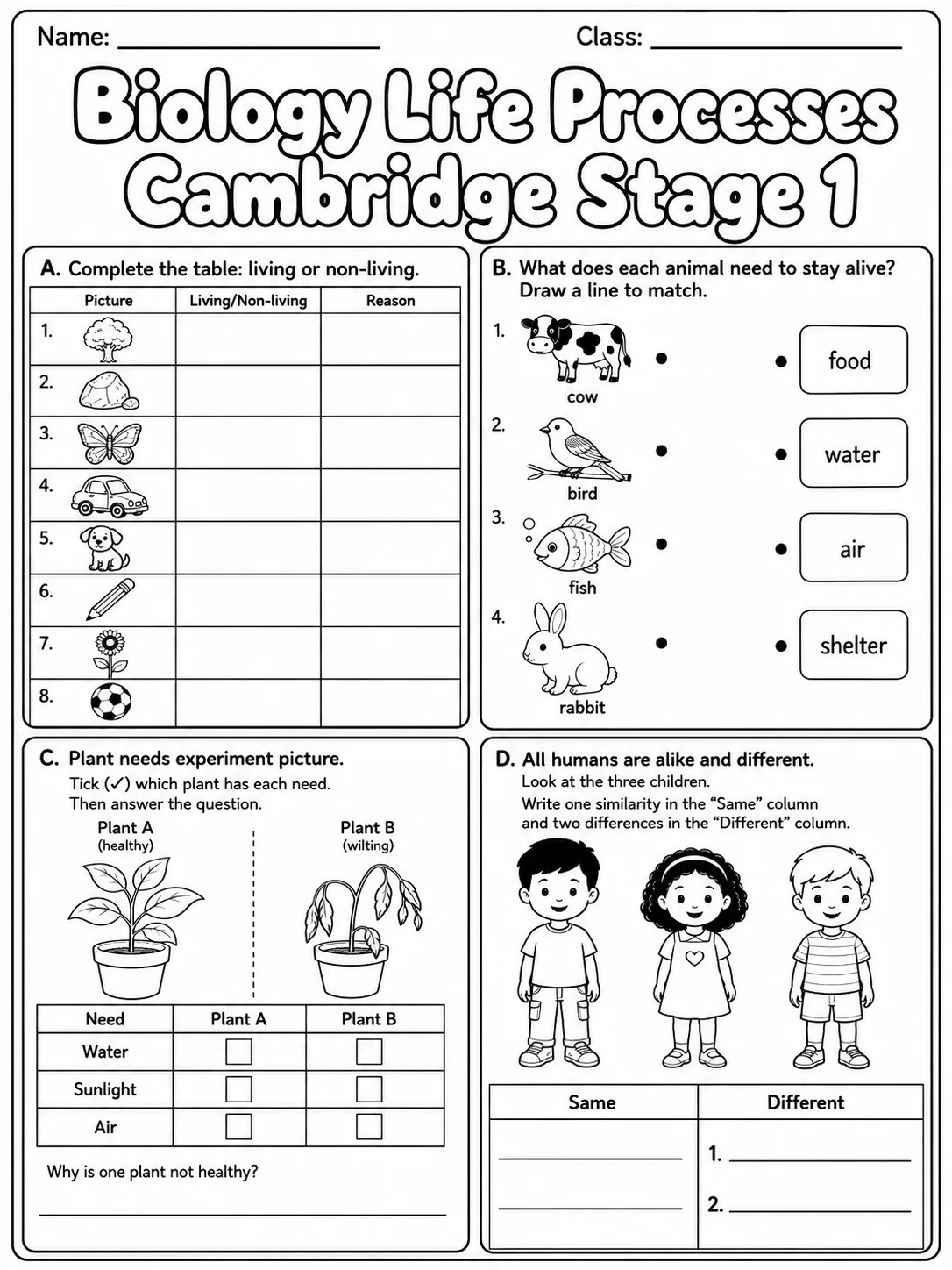 Biology Life Processes Cambridge Stage 1 page 6 printable Cambridge science worksheet preview
