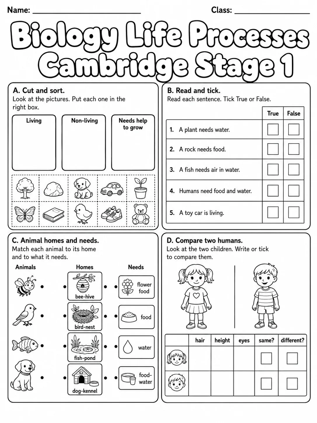 Biology Life Processes Cambridge Stage 1 page 7 printable Cambridge science worksheet preview