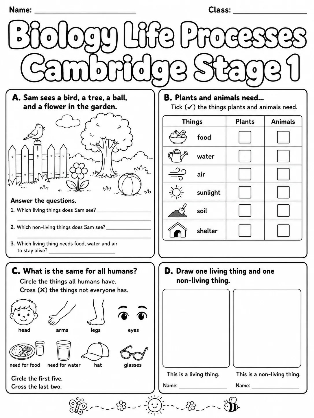 Biology Life Processes Cambridge Stage 1 page 8 printable Cambridge science worksheet preview