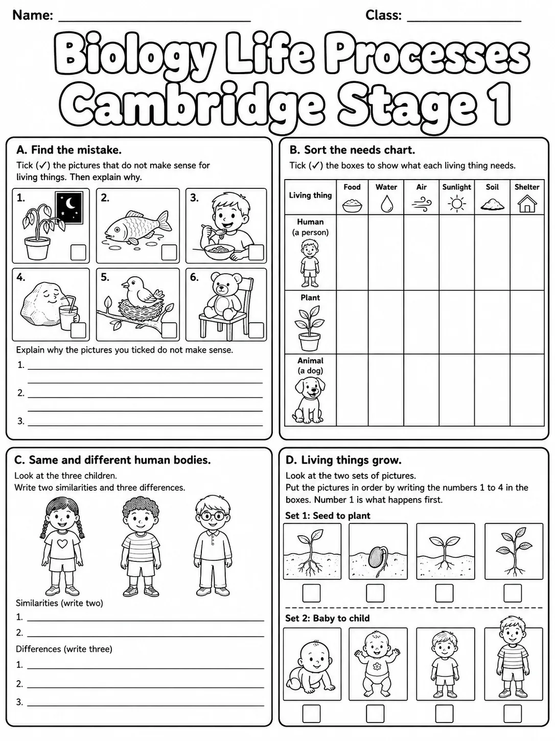 Biology Life Processes Cambridge Stage 1 page 9 printable Cambridge science worksheet preview