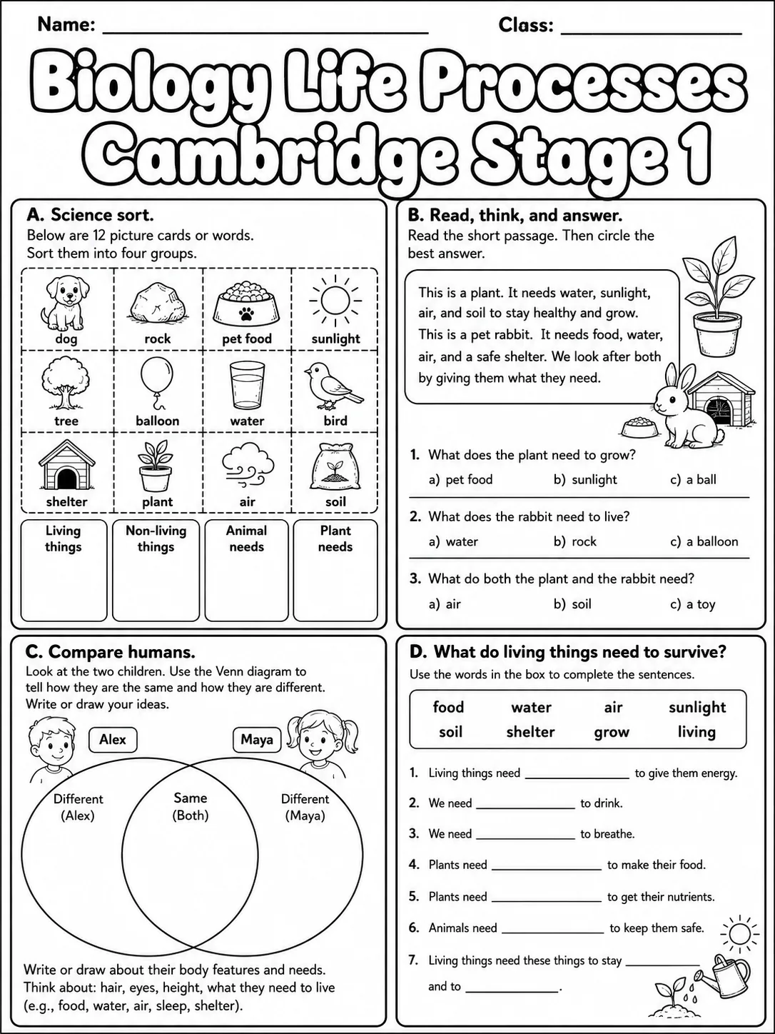 Biology Life Processes Cambridge Stage 1 page 10 printable Cambridge science worksheet preview