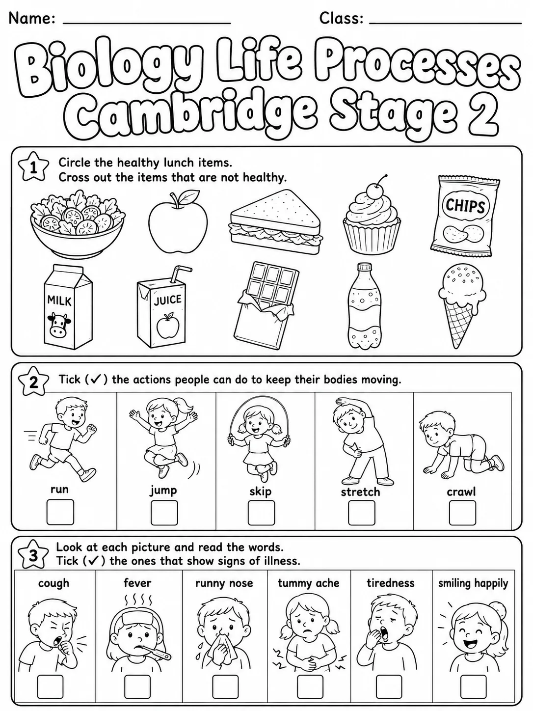 Biology Life Processes Cambridge Stage 2 page 2 printable Cambridge science worksheet preview