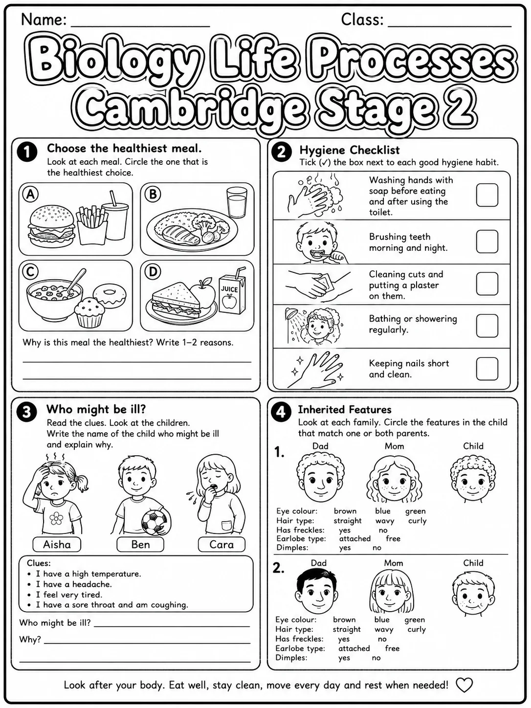 Biology Life Processes Cambridge Stage 2 page 5 printable Cambridge science worksheet preview