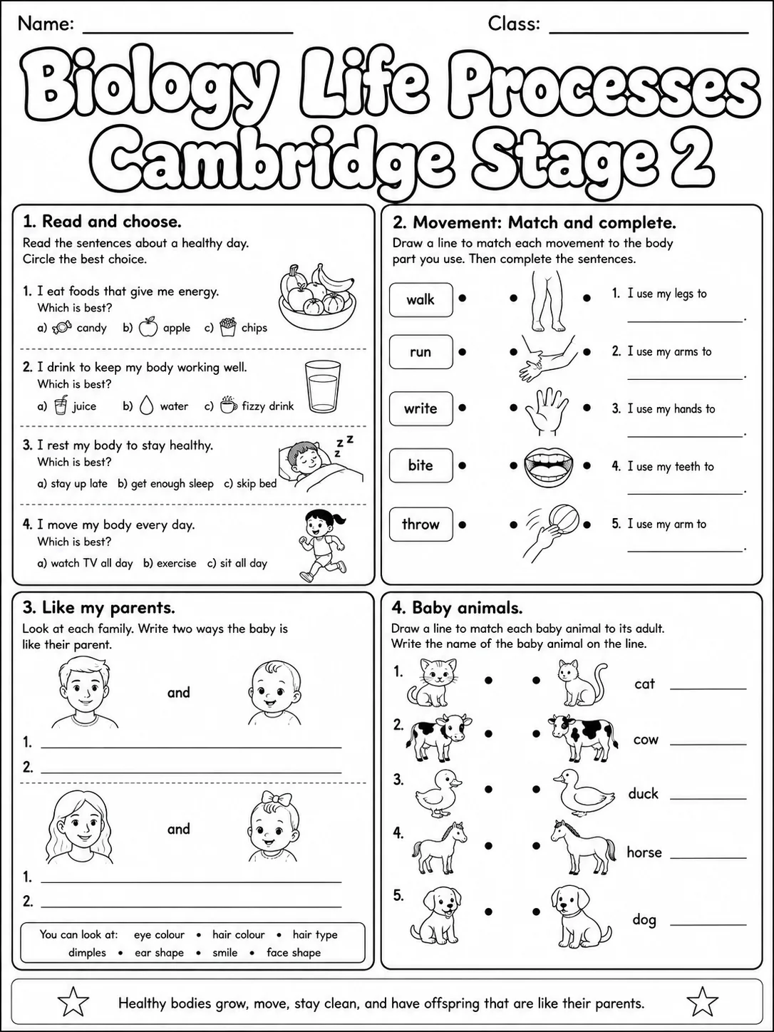 Biology Life Processes Cambridge Stage 2 page 6 printable Cambridge science worksheet preview