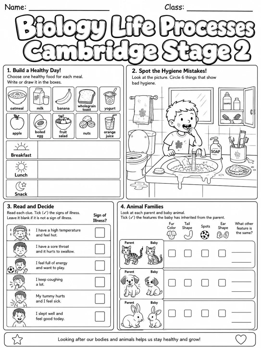 Biology Life Processes Cambridge Stage 2 page 7 printable Cambridge science worksheet preview