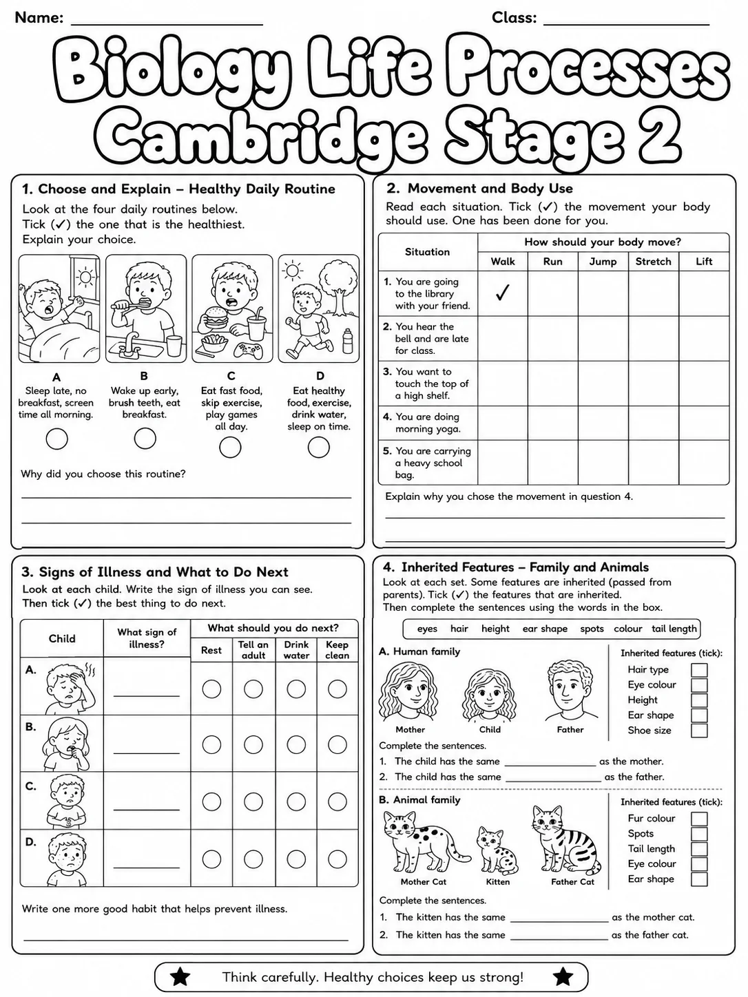 Biology Life Processes Cambridge Stage 2 page 9 printable Cambridge science worksheet preview