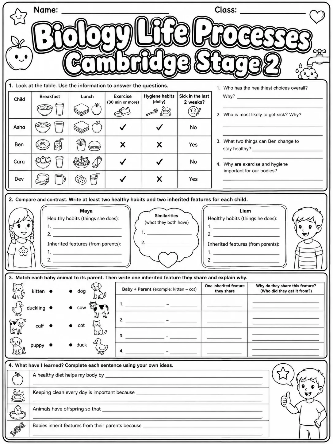 Biology Life Processes Cambridge Stage 2 page 10 printable Cambridge science worksheet preview