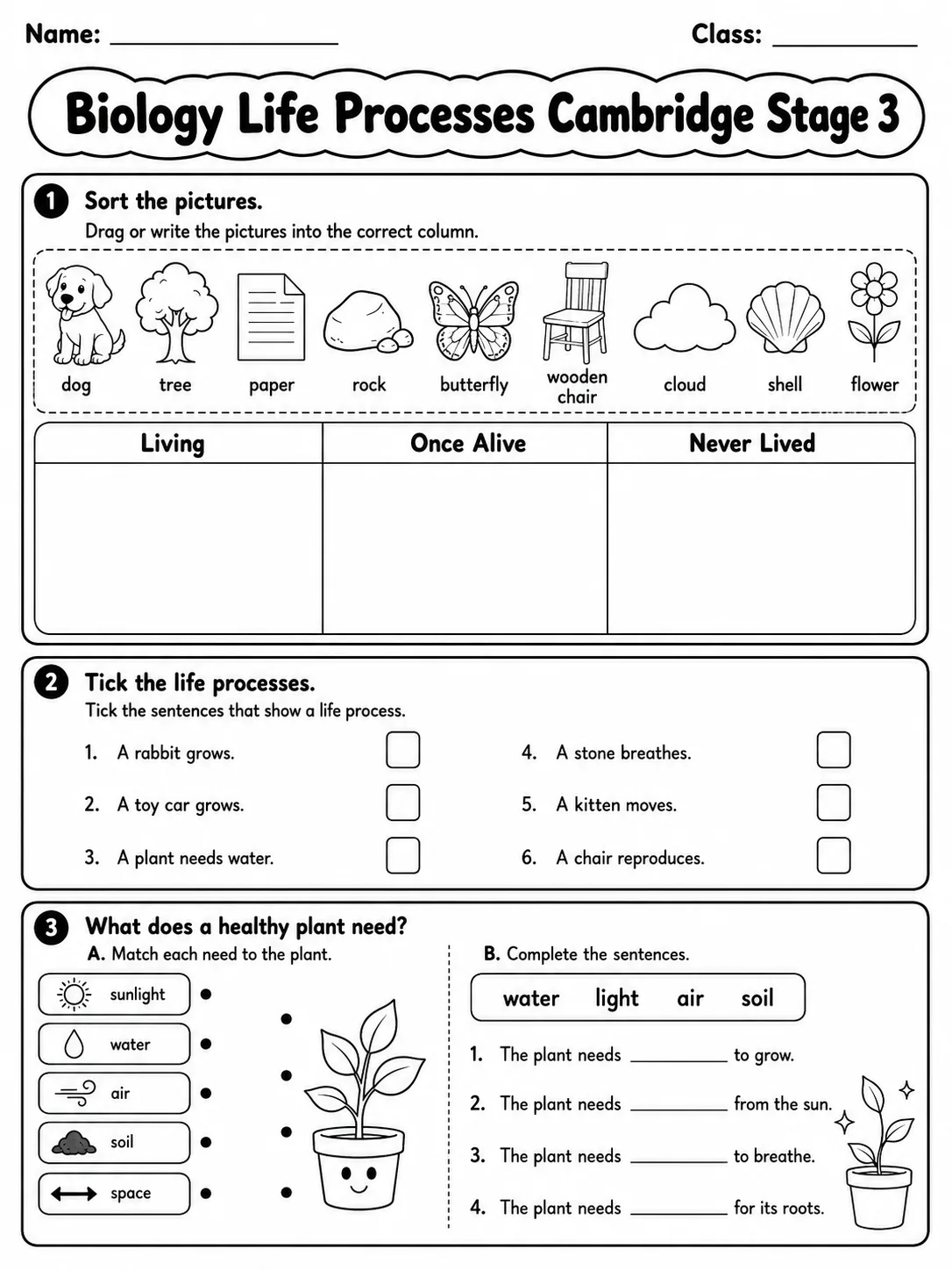 Biology Life Processes Cambridge Stage 3 printable Cambridge Primary Science Stage 3 worksheet preview from KiwiBee