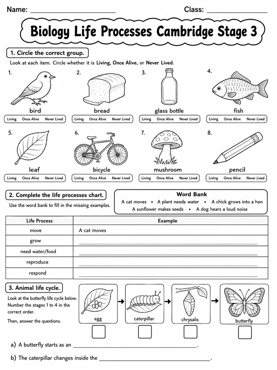 Biology Life Processes Cambridge Stage 3 page 2 printable Cambridge science worksheet preview