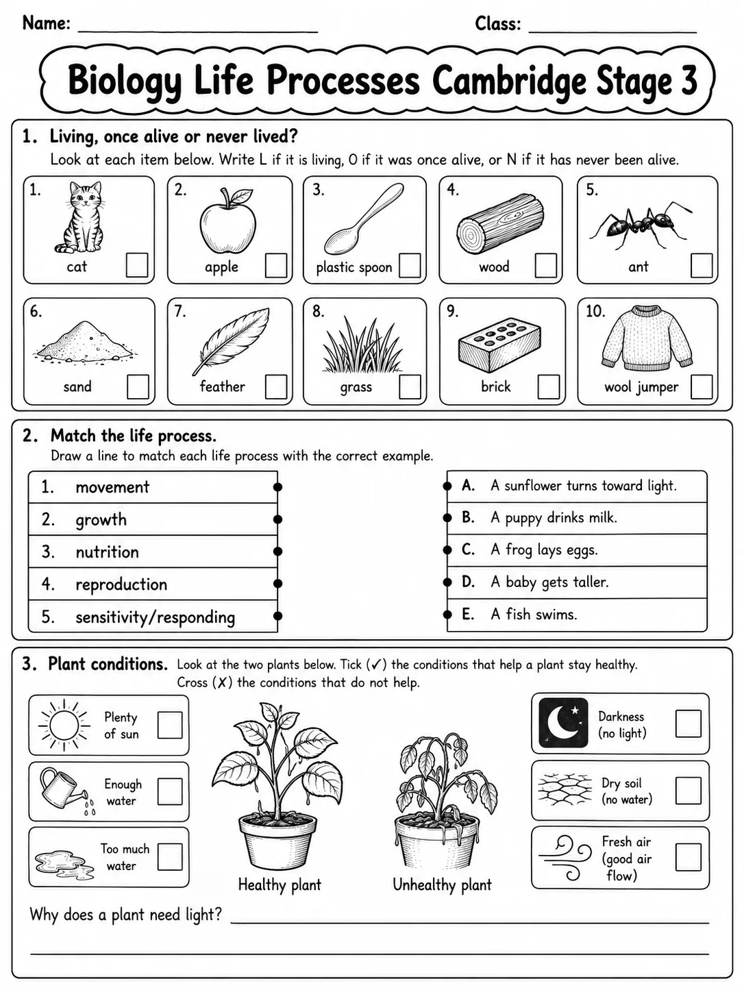 Biology Life Processes Cambridge Stage 3 page 3 printable Cambridge science worksheet preview