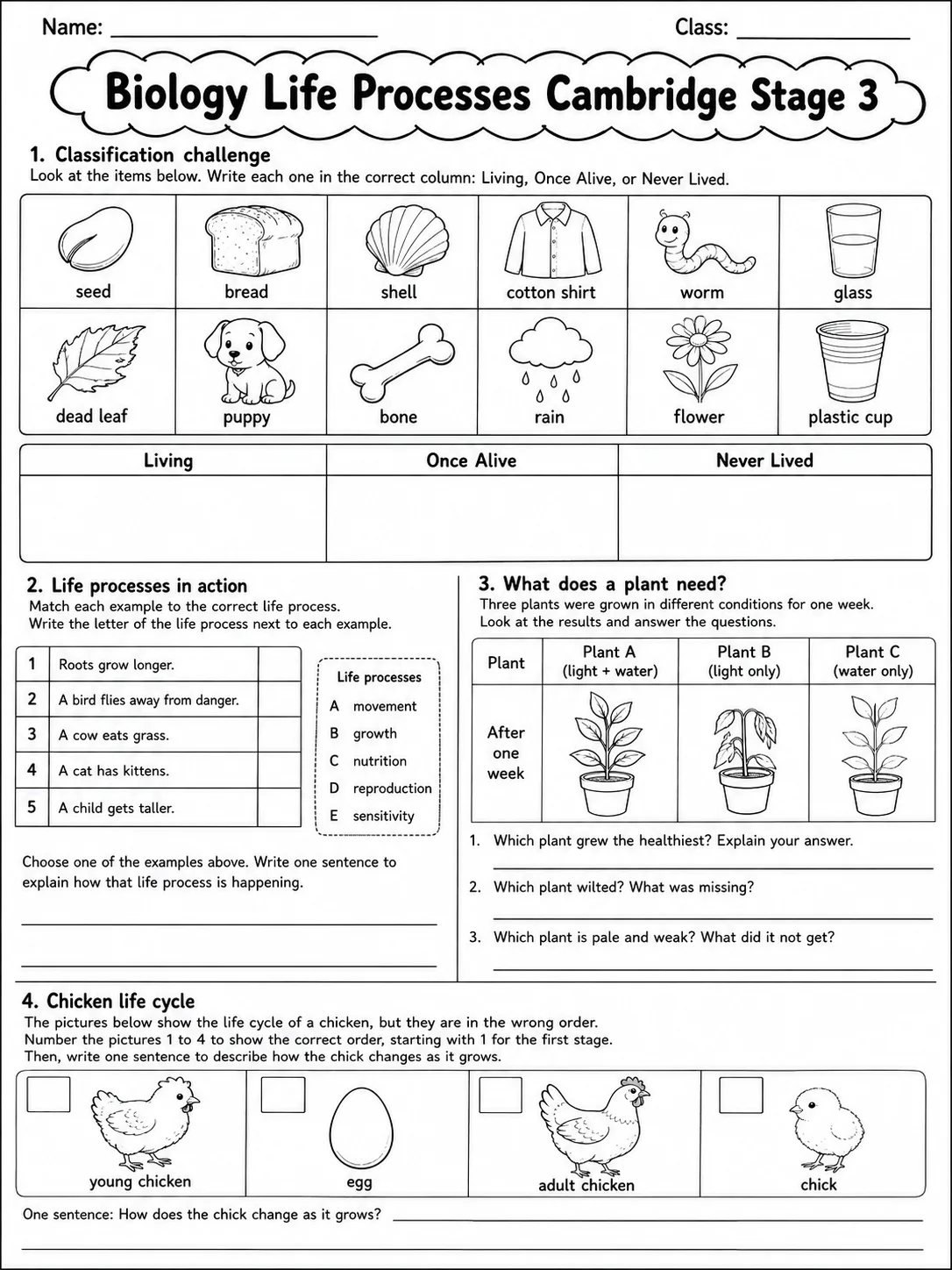 Biology Life Processes Cambridge Stage 3 page 6 printable Cambridge science worksheet preview